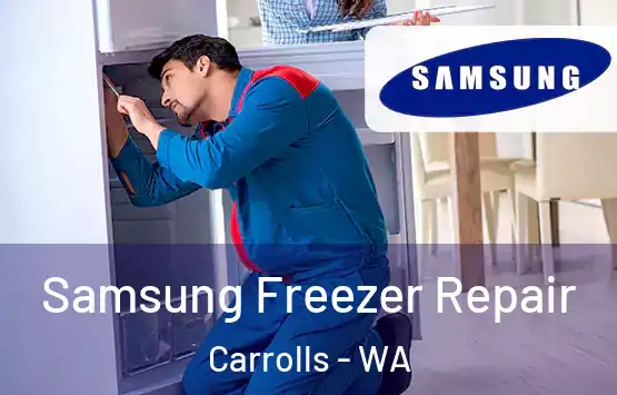  Samsung Freezer Repair Carrolls - WA