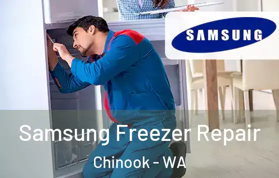  Samsung Freezer Repair Chinook - WA