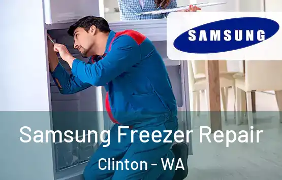  Samsung Freezer Repair Clinton - WA
