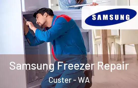  Samsung Freezer Repair Custer - WA
