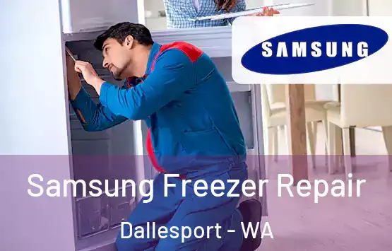  Samsung Freezer Repair Dallesport - WA