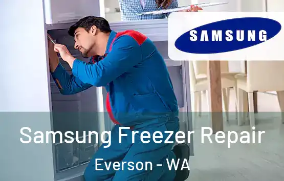  Samsung Freezer Repair Everson - WA