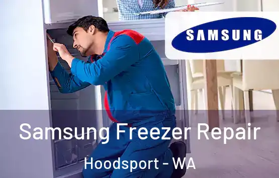  Samsung Freezer Repair Hoodsport - WA