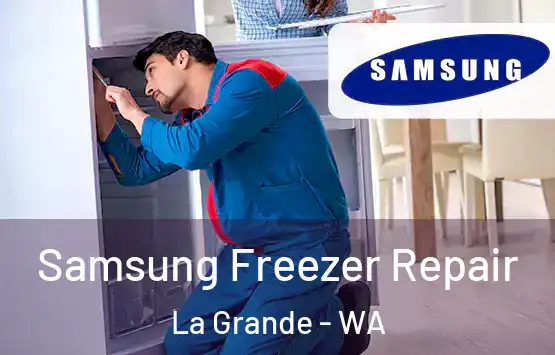  Samsung Freezer Repair La Grande - WA