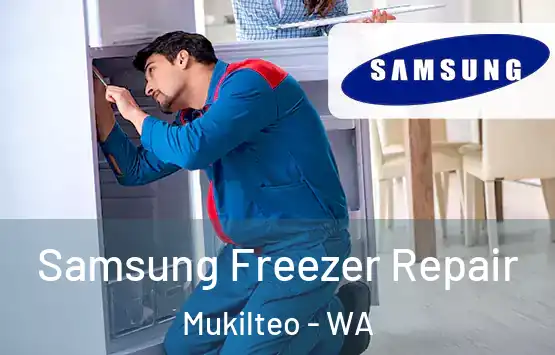  Samsung Freezer Repair Mukilteo - WA