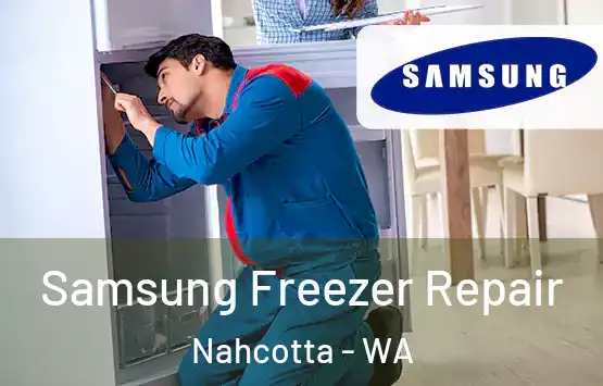  Samsung Freezer Repair Nahcotta - WA