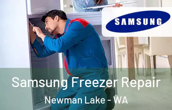  Samsung Freezer Repair Newman Lake - WA