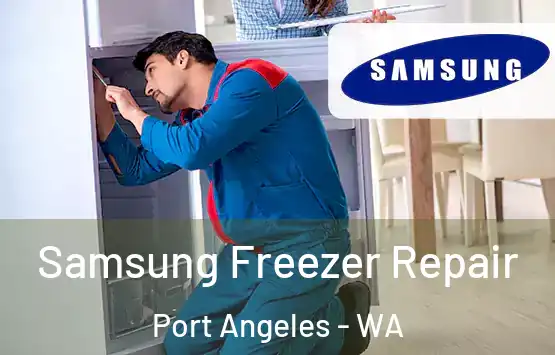  Samsung Freezer Repair Port Angeles - WA