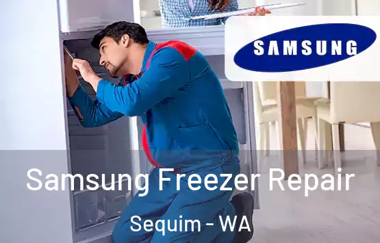  Samsung Freezer Repair Sequim - WA