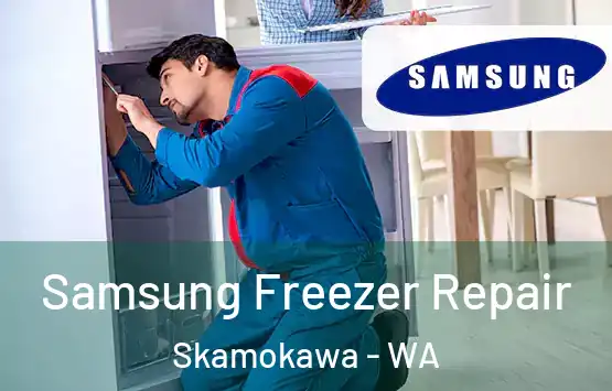  Samsung Freezer Repair Skamokawa - WA