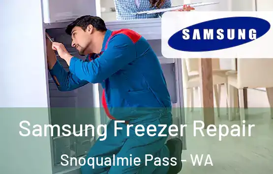  Samsung Freezer Repair Snoqualmie Pass - WA