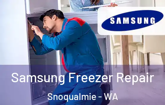  Samsung Freezer Repair Snoqualmie - WA