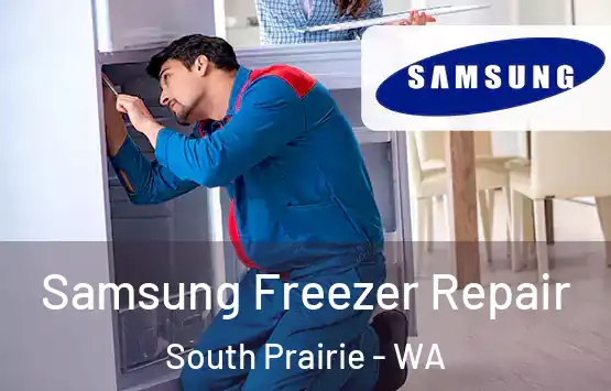  Samsung Freezer Repair South Prairie - WA
