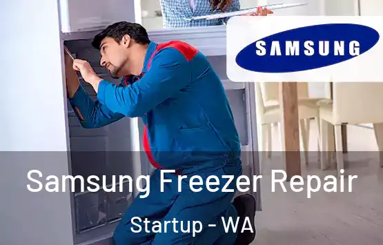  Samsung Freezer Repair Startup - WA