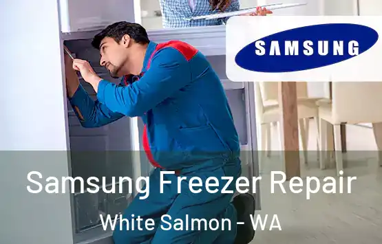  Samsung Freezer Repair White Salmon - WA