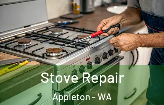  Stove Repair Appleton - WA