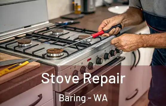  Stove Repair Baring - WA