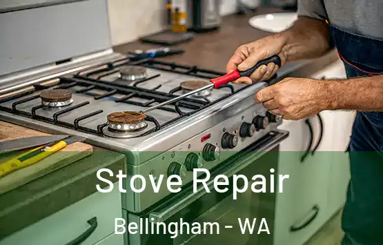  Stove Repair Bellingham - WA