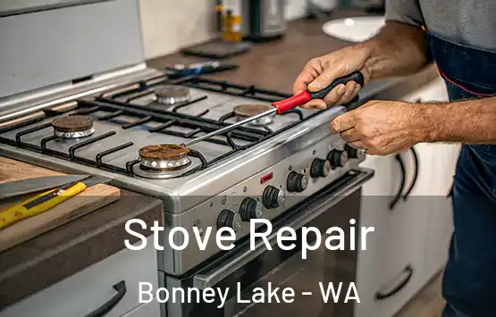  Stove Repair Bonney Lake - WA