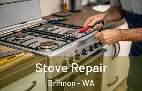  Stove Repair Brinnon - WA