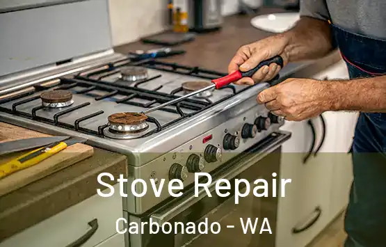  Stove Repair Carbonado - WA