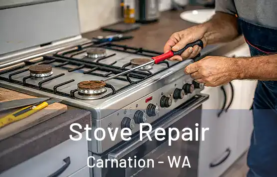  Stove Repair Carnation - WA