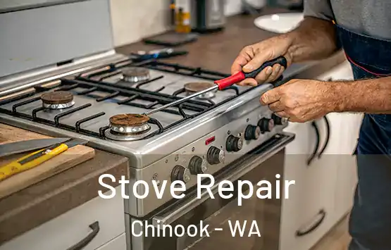  Stove Repair Chinook - WA