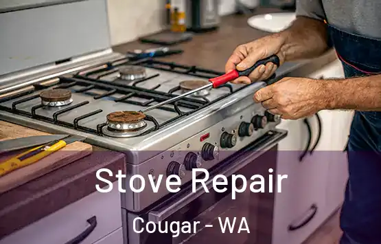  Stove Repair Cougar - WA