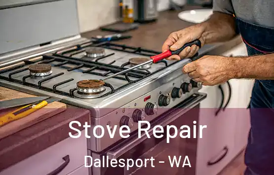  Stove Repair Dallesport - WA