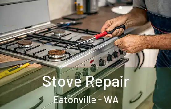  Stove Repair Eatonville - WA