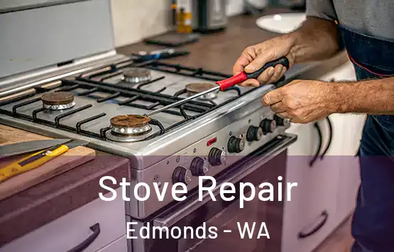  Stove Repair Edmonds - WA