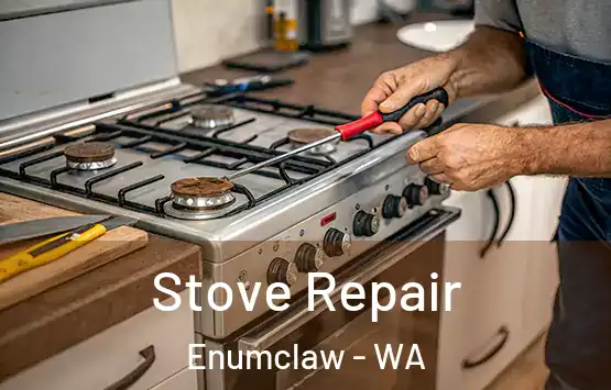  Stove Repair Enumclaw - WA