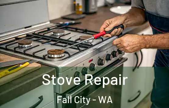  Stove Repair Fall City - WA