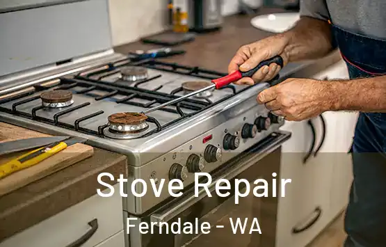 Stove Repair Ferndale - WA