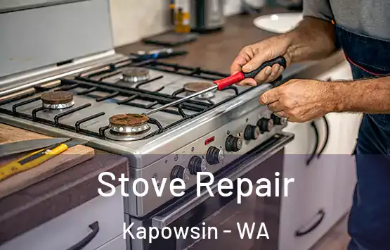  Stove Repair Kapowsin - WA