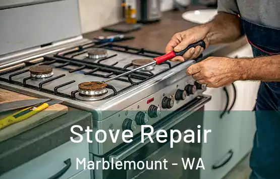  Stove Repair Marblemount - WA