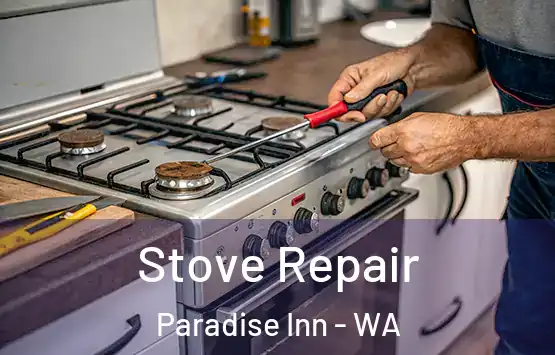  Stove Repair Paradise Inn - WA