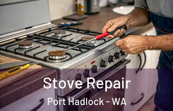  Stove Repair Port Hadlock - WA