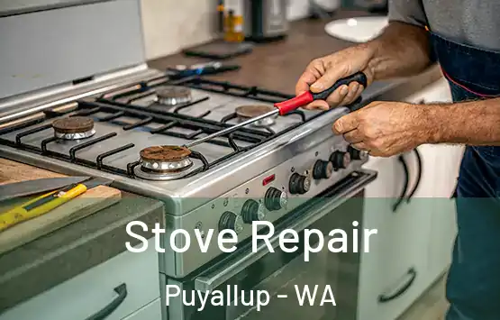  Stove Repair Puyallup - WA