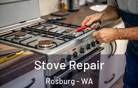  Stove Repair Rosburg - WA