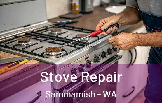  Stove Repair Sammamish - WA