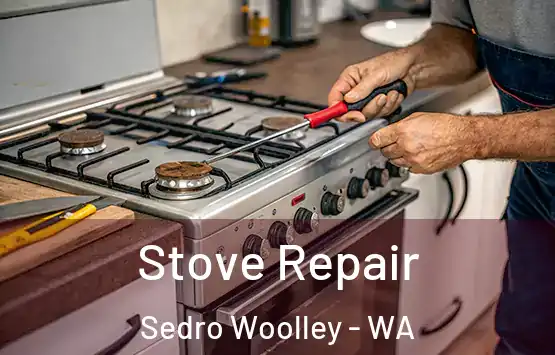  Stove Repair Sedro Woolley - WA