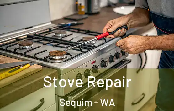  Stove Repair Sequim - WA