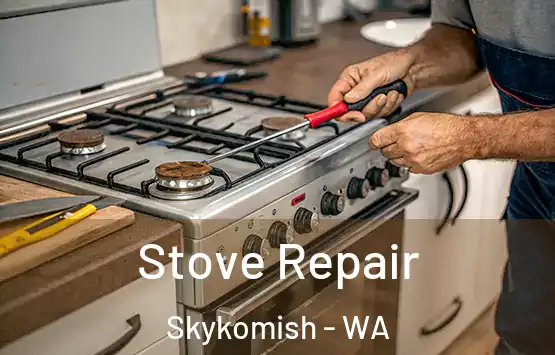  Stove Repair Skykomish - WA