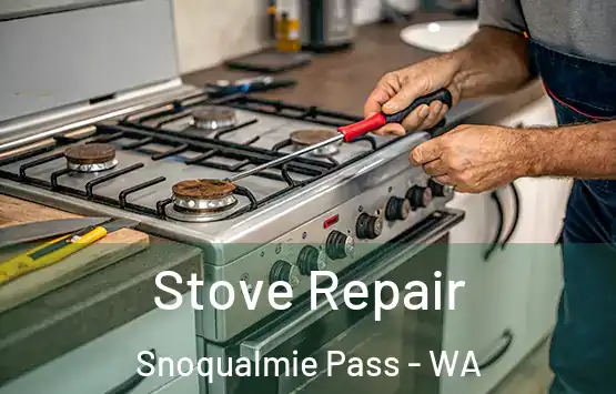  Stove Repair Snoqualmie Pass - WA