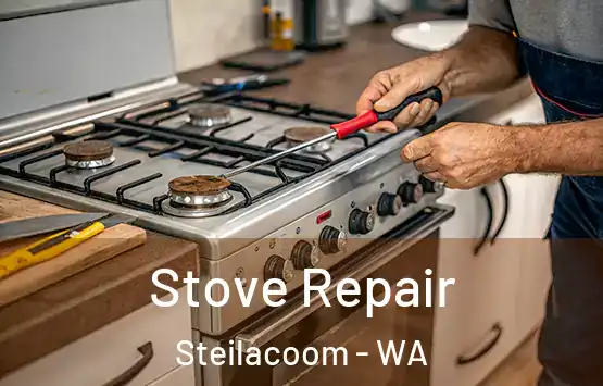  Stove Repair Steilacoom - WA