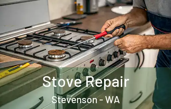  Stove Repair Stevenson - WA