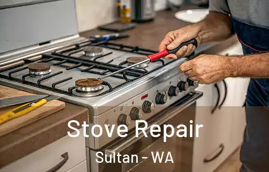  Stove Repair Sultan - WA