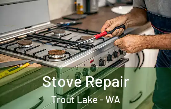  Stove Repair Trout Lake - WA