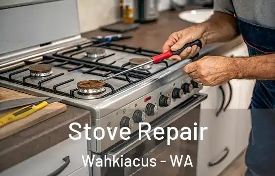  Stove Repair Wahkiacus - WA